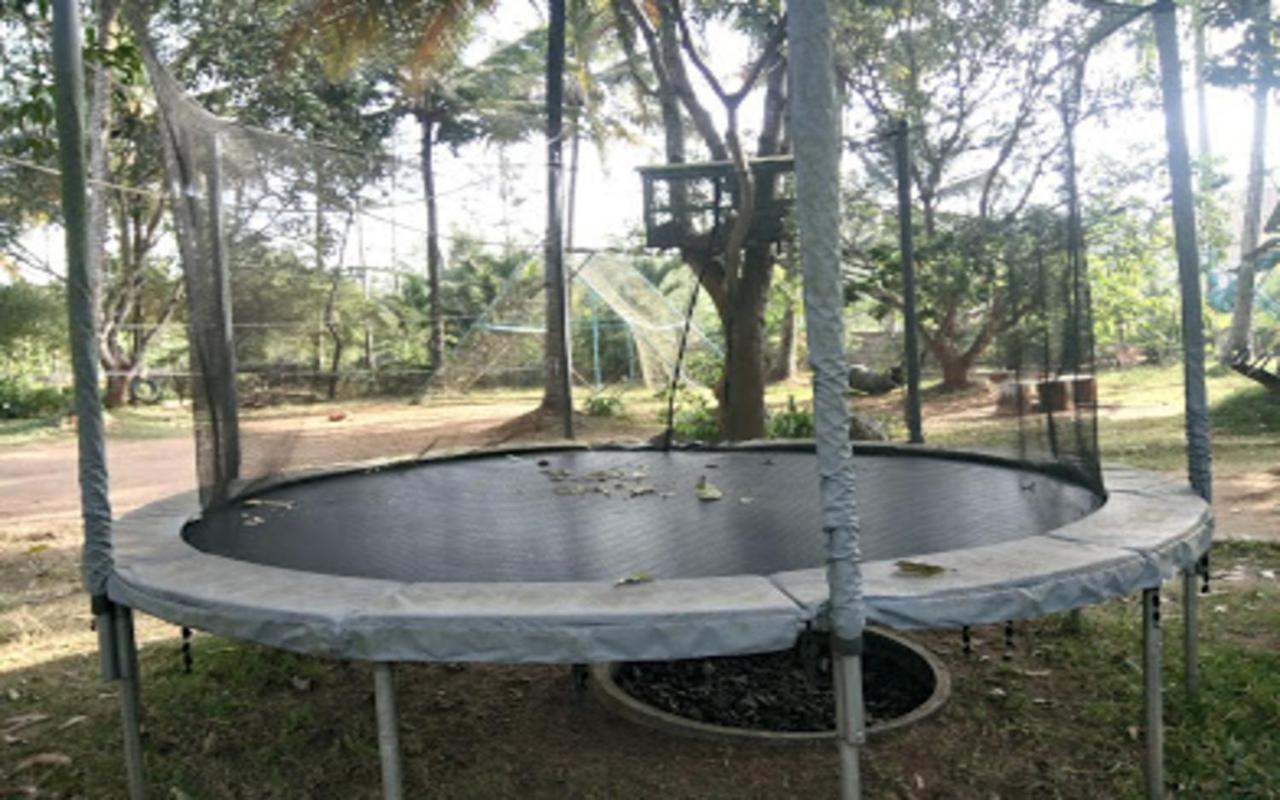 Coorg Green Farm Resort Kushalnagar Luaran gambar