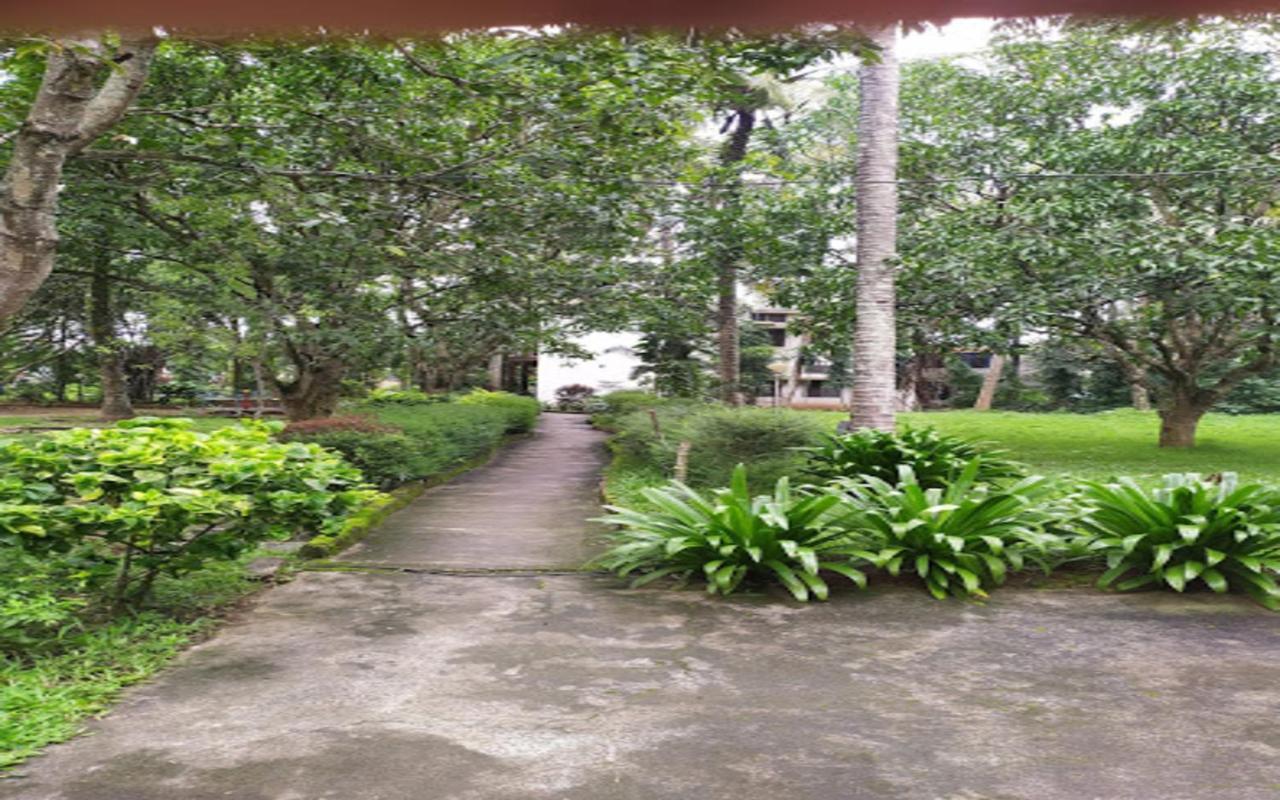 Coorg Green Farm Resort Kushalnagar Luaran gambar