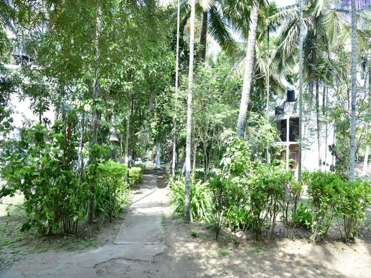 Coorg Green Farm Resort Kushalnagar Luaran gambar