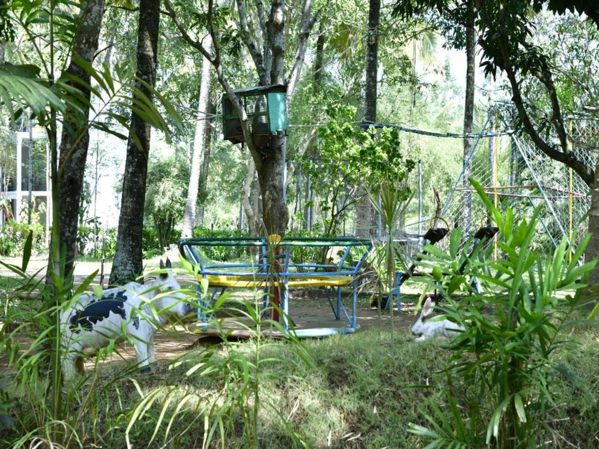 Coorg Green Farm Resort Kushalnagar Luaran gambar